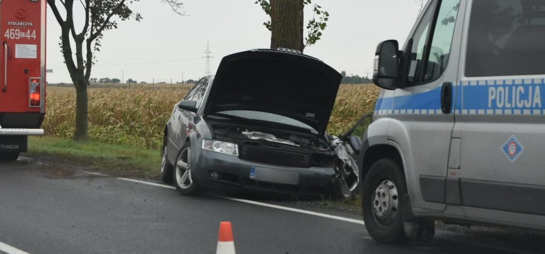 Region - Audi uderzyło w drzewo. Korki koło Złotnik