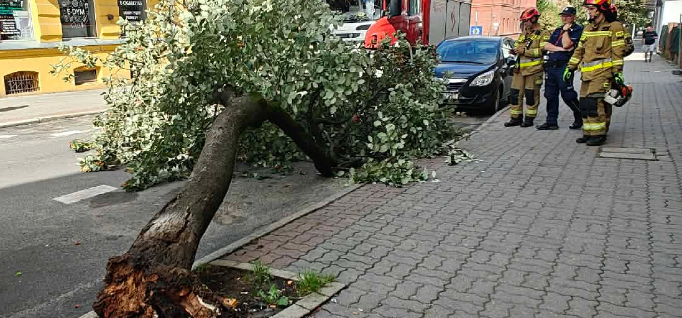 Drzewo przewróciło się na ulicę w centrum miasta