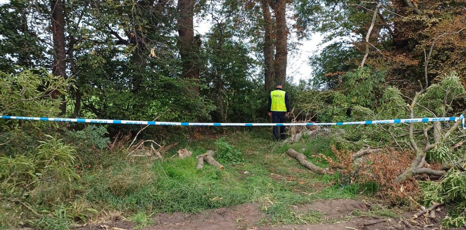 Region - Tragedia podczas wycinki drzewa. Nie żyje 34-latek