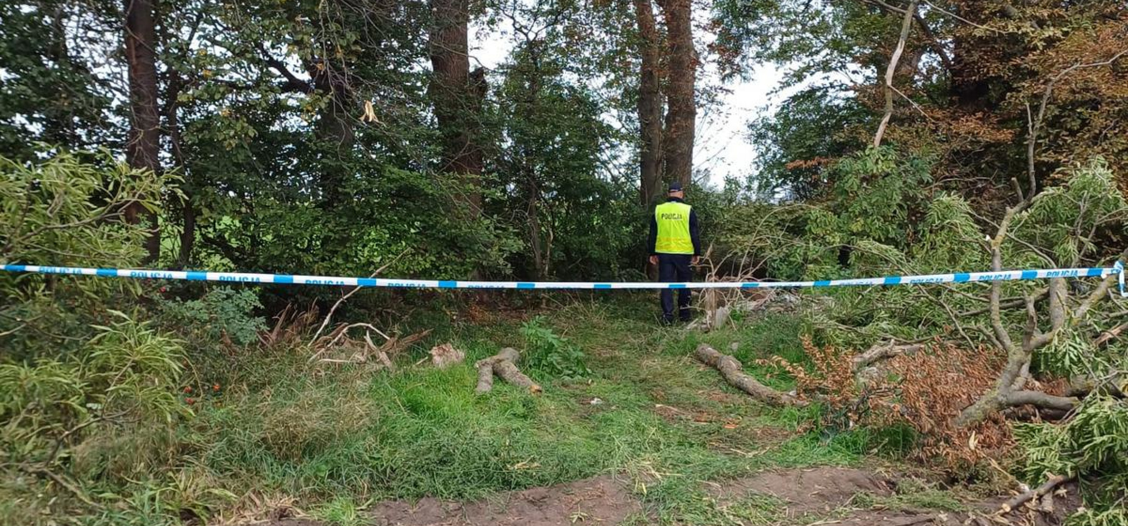 Tragedia podczas wycinki drzewa. Nie żyje 34-latek