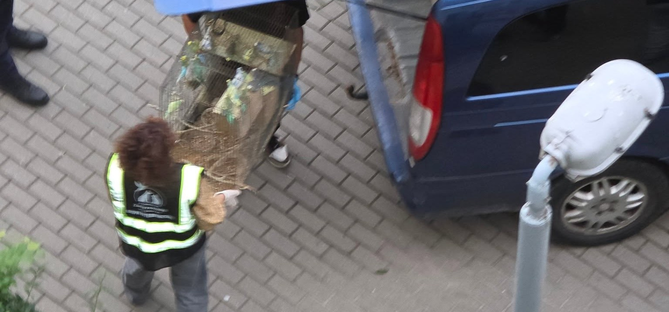 Ponad 170 zwierząt w jednym pokoju. Wielogodzinna interwencja w Inowrocławiu