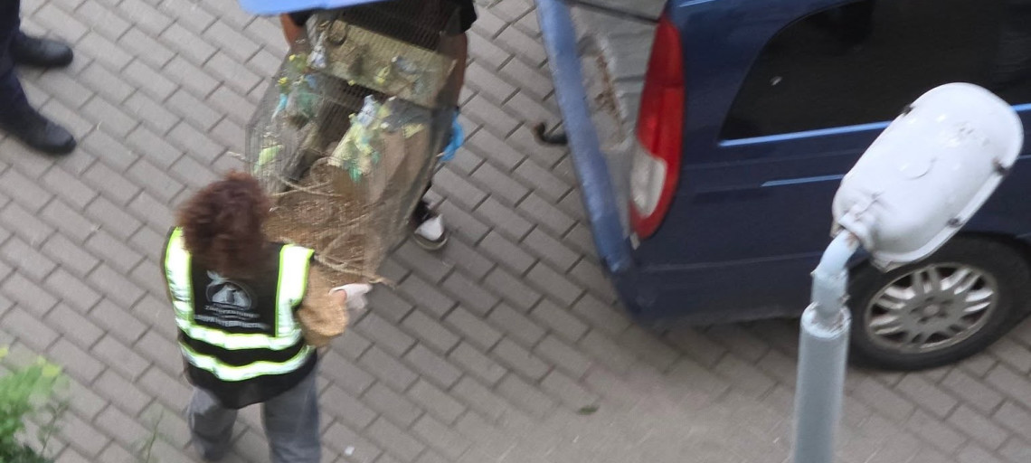Ponad 170 zwierząt w jednym pokoju. Wielogodzinna interwencja w Inowrocławiu