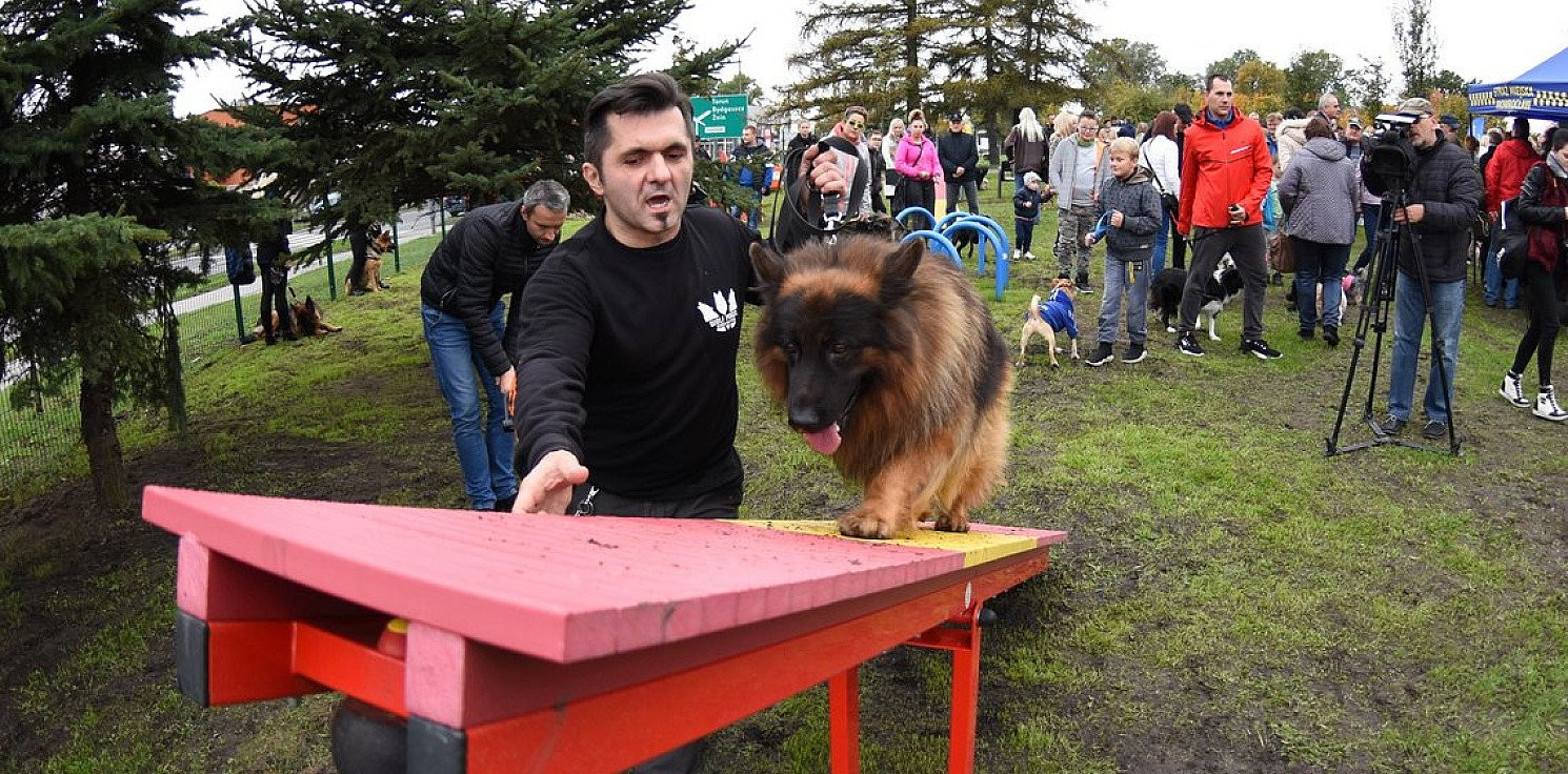 Inowrocław - Psi park już otwarty. Jak się nazywa?