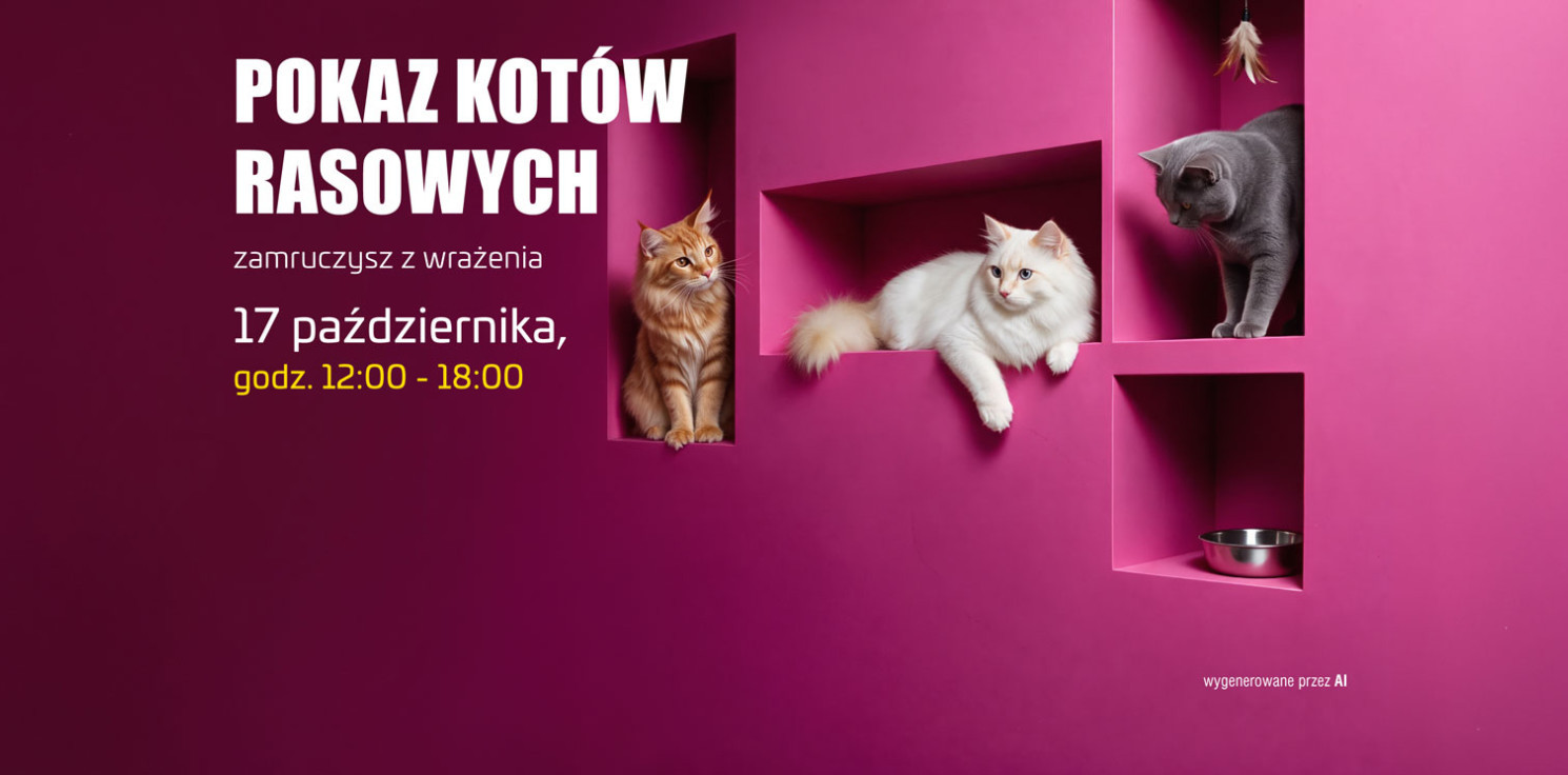 Inowrocław - Kocie piękności zawitają do Galerii Solnej