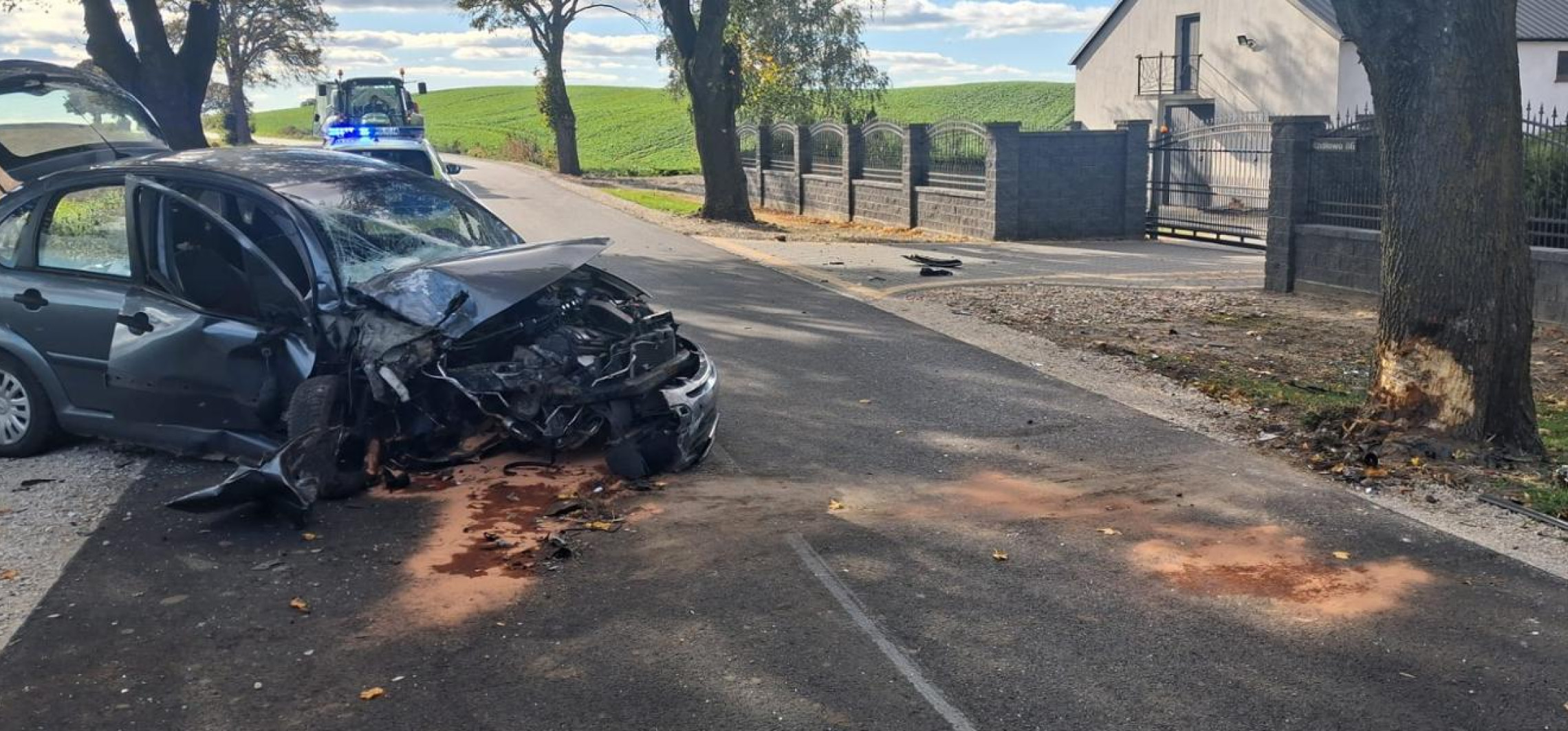 Auto uderzyło w drzewo. Jedna osoba w szpitalu