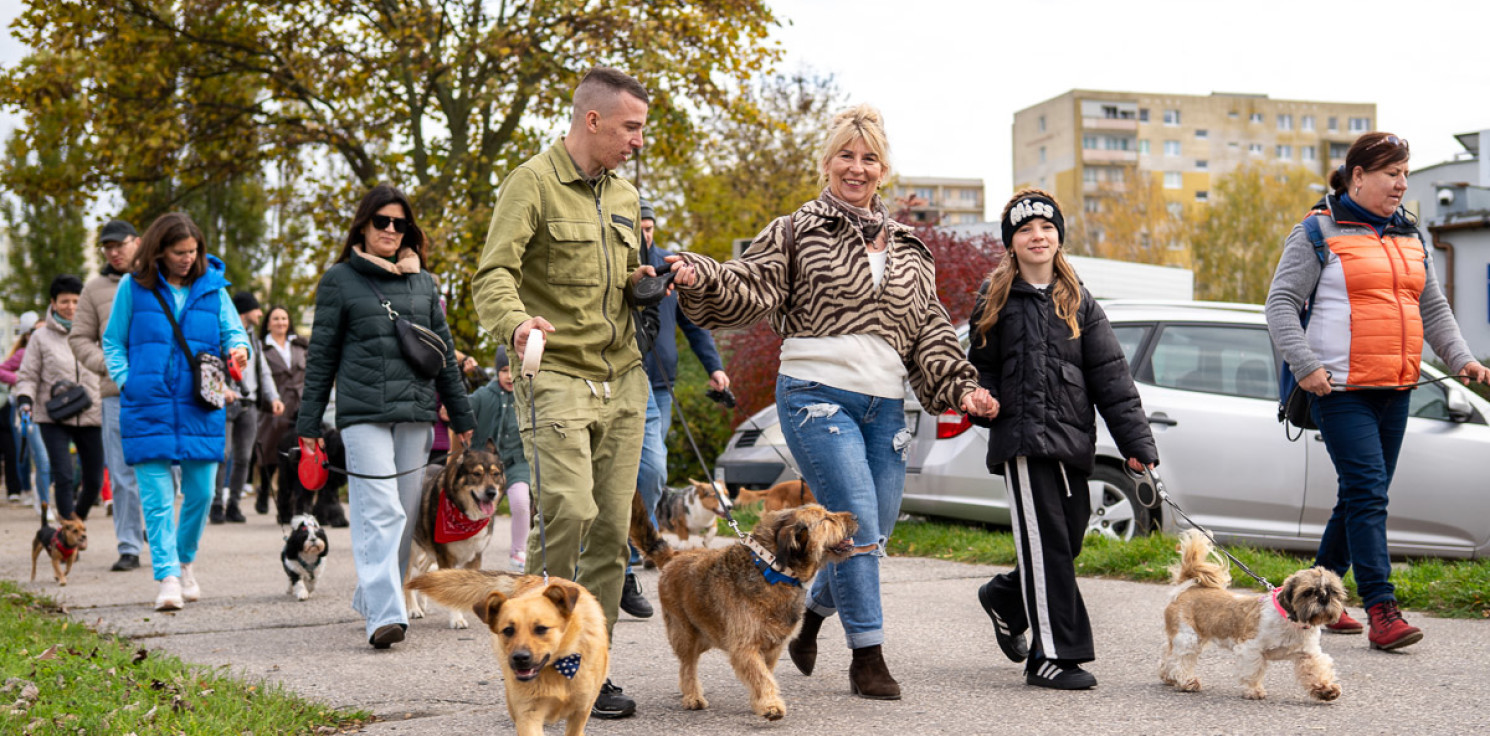Inowrocław - Parada kundelków i psów adoptowanych - dołącz ze swoim pupilem!