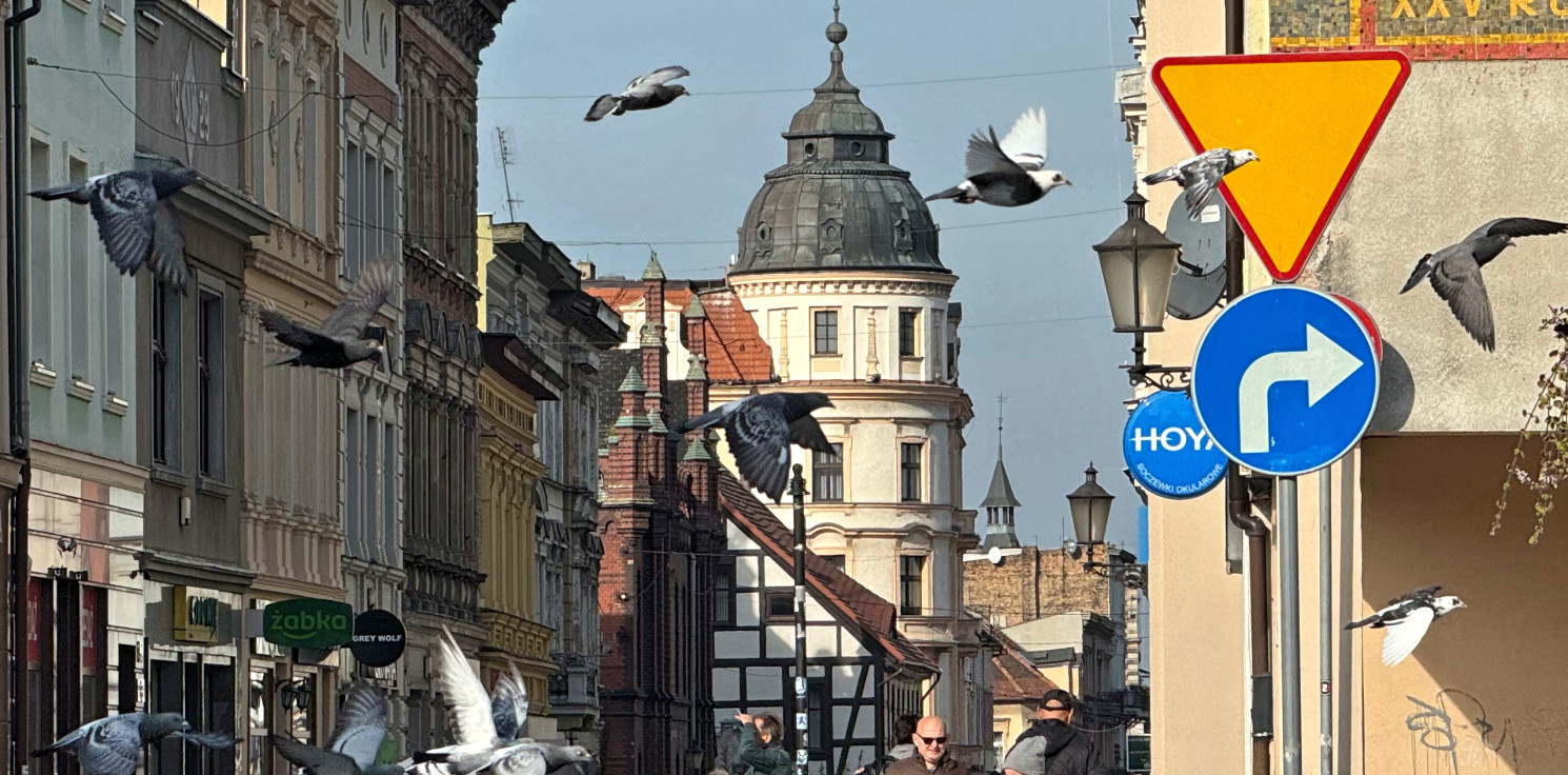 Inowrocław - Dzisiaj w Inowrocławiu. Deszczowa aura przez cały dzień