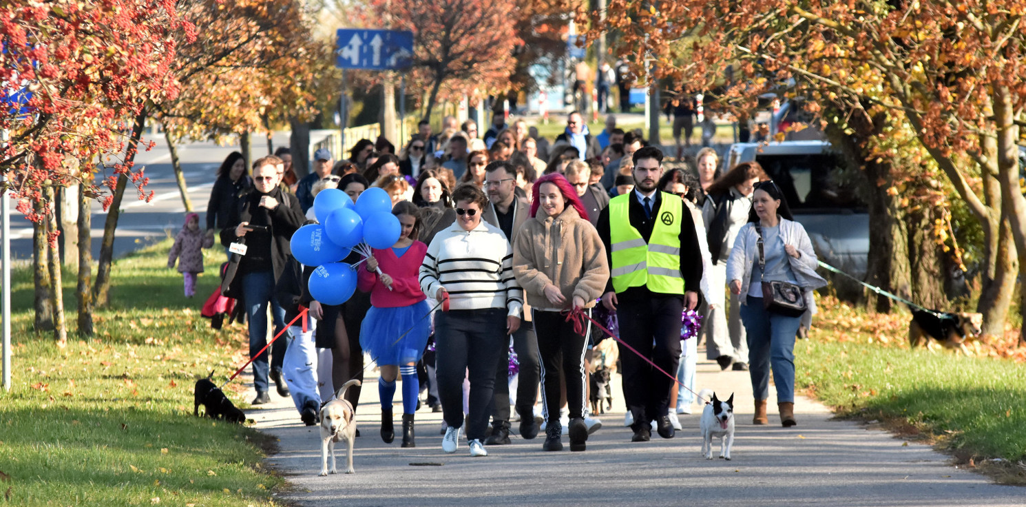 Inowrocław - Kundelki opanowały Inowrocław. Parada dotarła do Galerii Solnej
