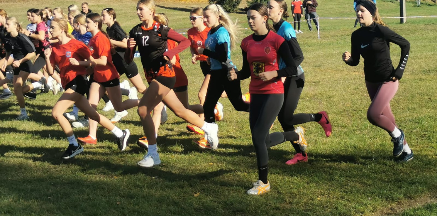 Inowrocław - Złoto i brąz dla reprezentantów naszego powiatu