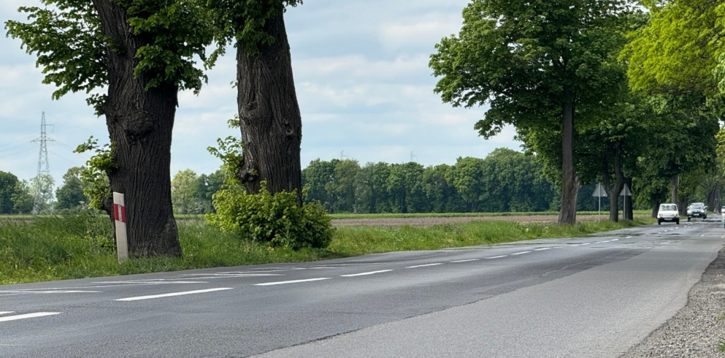 Gmina Inowrocław - Ponad 3 mln zł na remont drogi w Orłowie. Gmina ma dofinansowanie