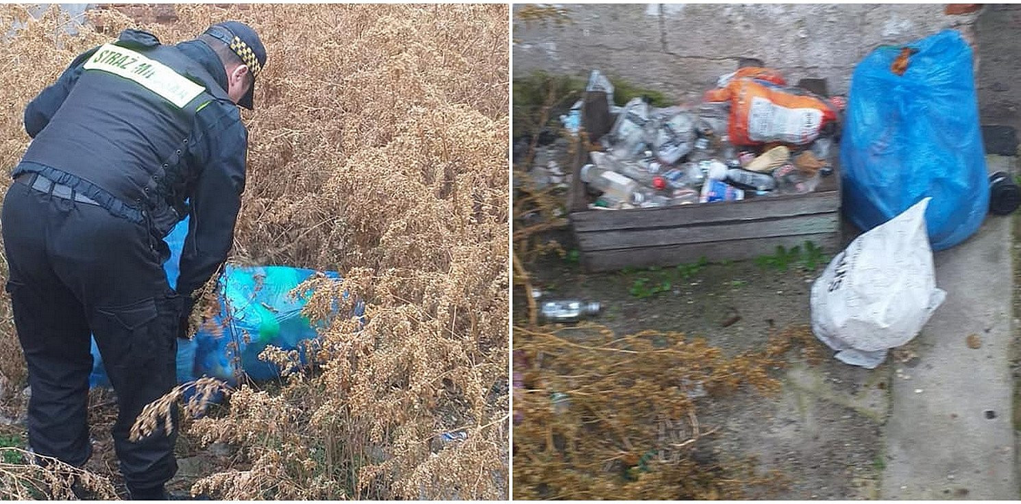 Inowrocław - Zajrzeli w odpady i namierzyli właściciela
