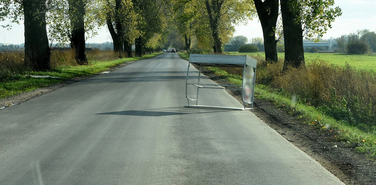 Kruszwica.online - Nietypowa przeszkoda na środku drogi