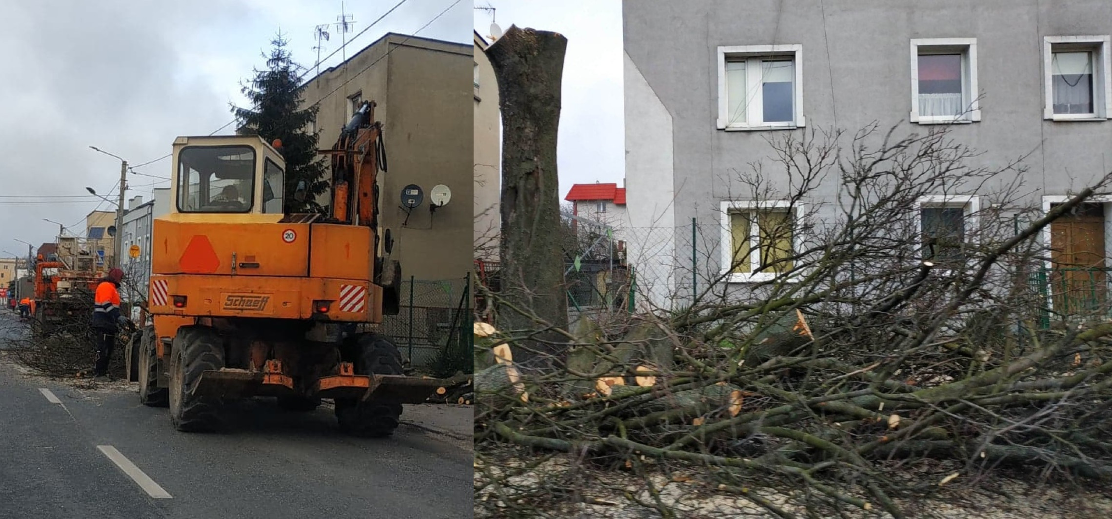 Inowrocław - Uwaga na Szymborskiej, wycinają drzewa