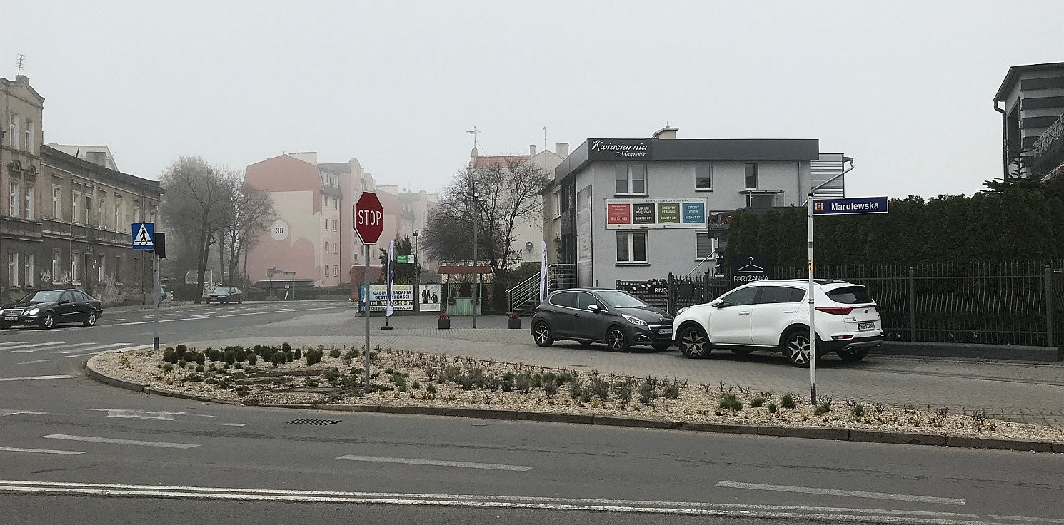 Inowrocław - W mieście pojawiły się nowe nasadzenia