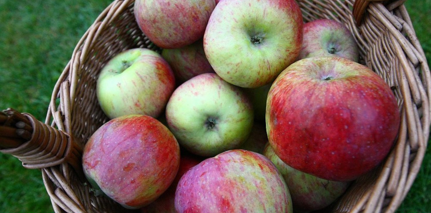 Świat - Dwa jabłka dziennie obniżają poziom cholesterolu