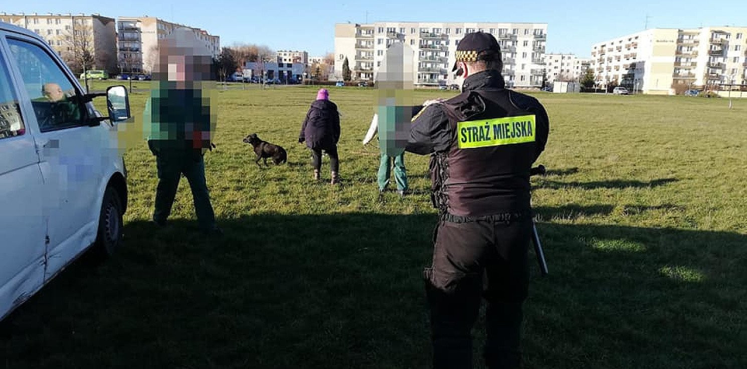 Inowrocław - Posypały się mandaty za nieupilnowanie psów