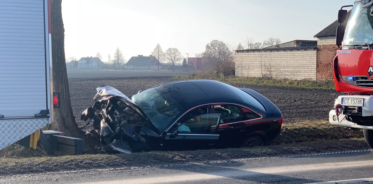 Dąbrowa Biskupia - Audi uderzyło w drzewo. Są ranni