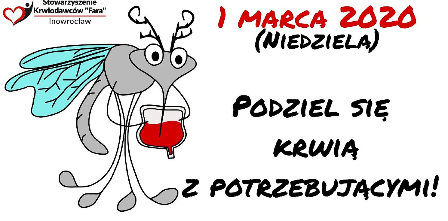 Inowrocław - Fara: komary czekają na Twoją krew