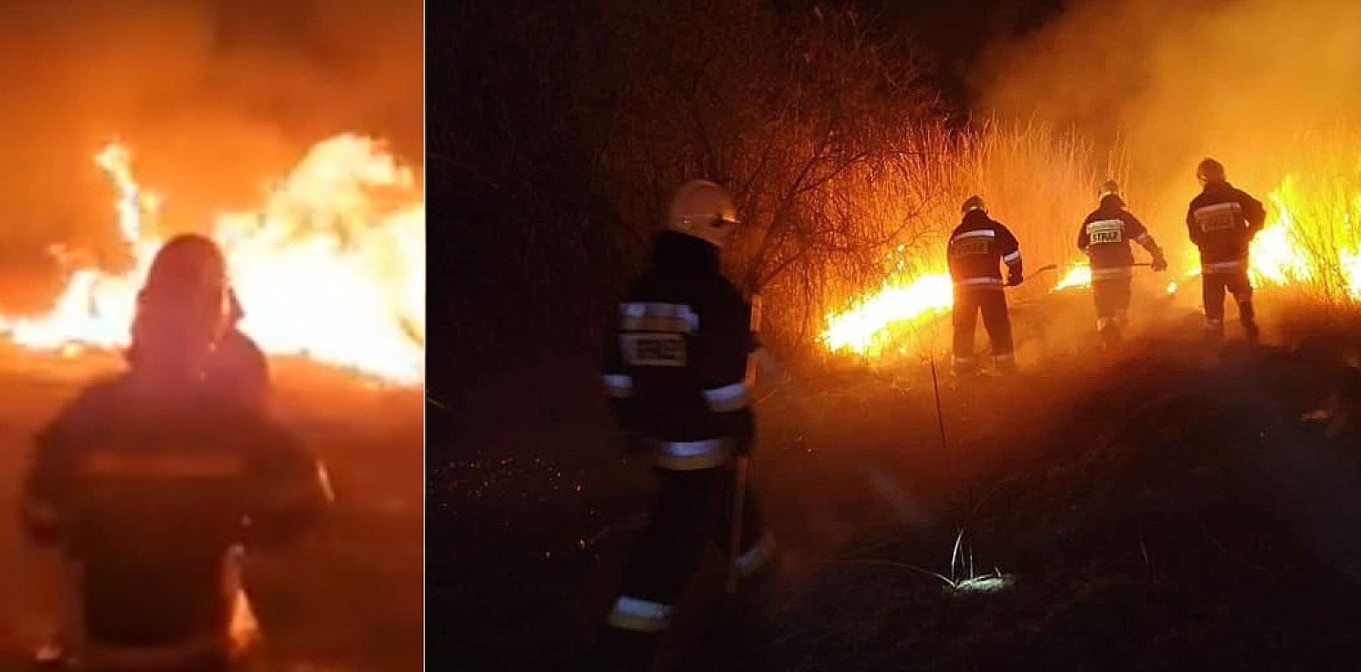 Kruszwica - Spłonęło 10 hektarów trzcin