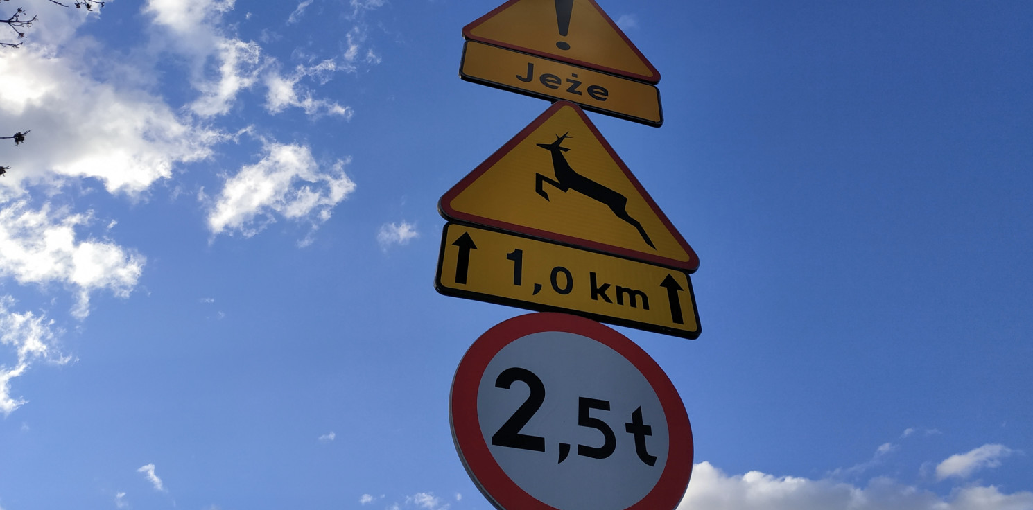 Inowrocław - Znaki ostrzegają przed jeżami. Ale nie u nas