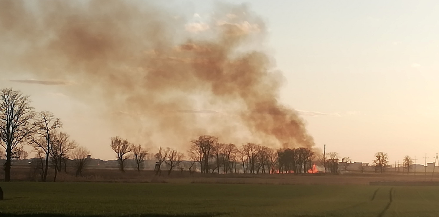 Kruszwica.online - Znów płoną trzcinowiska. W dwóch miejscach