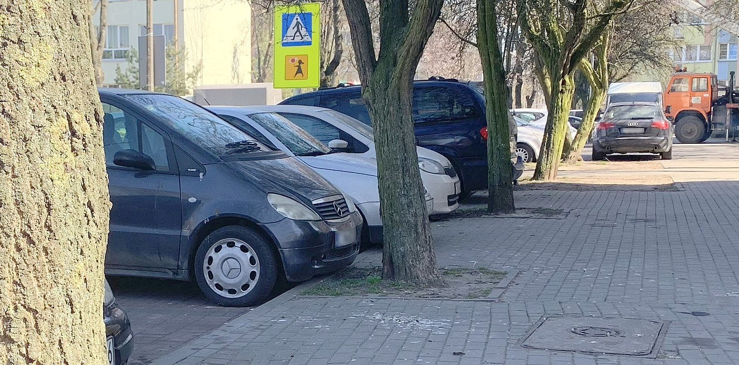 Inowrocław - Parkując, zahaczają o drzewa. Do wycinki?