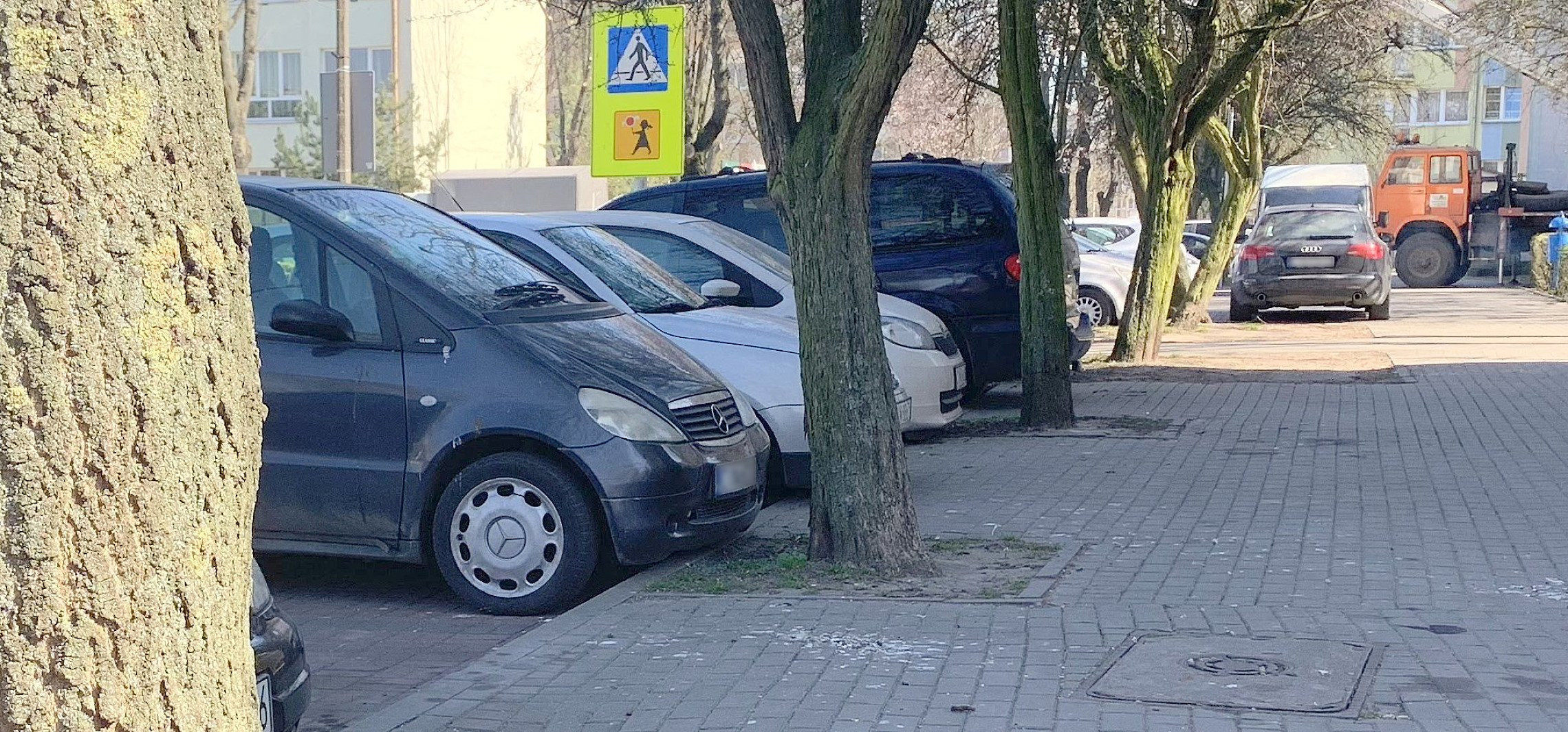 Inowrocław - Parkując, zahaczają o drzewa. Do wycinki?