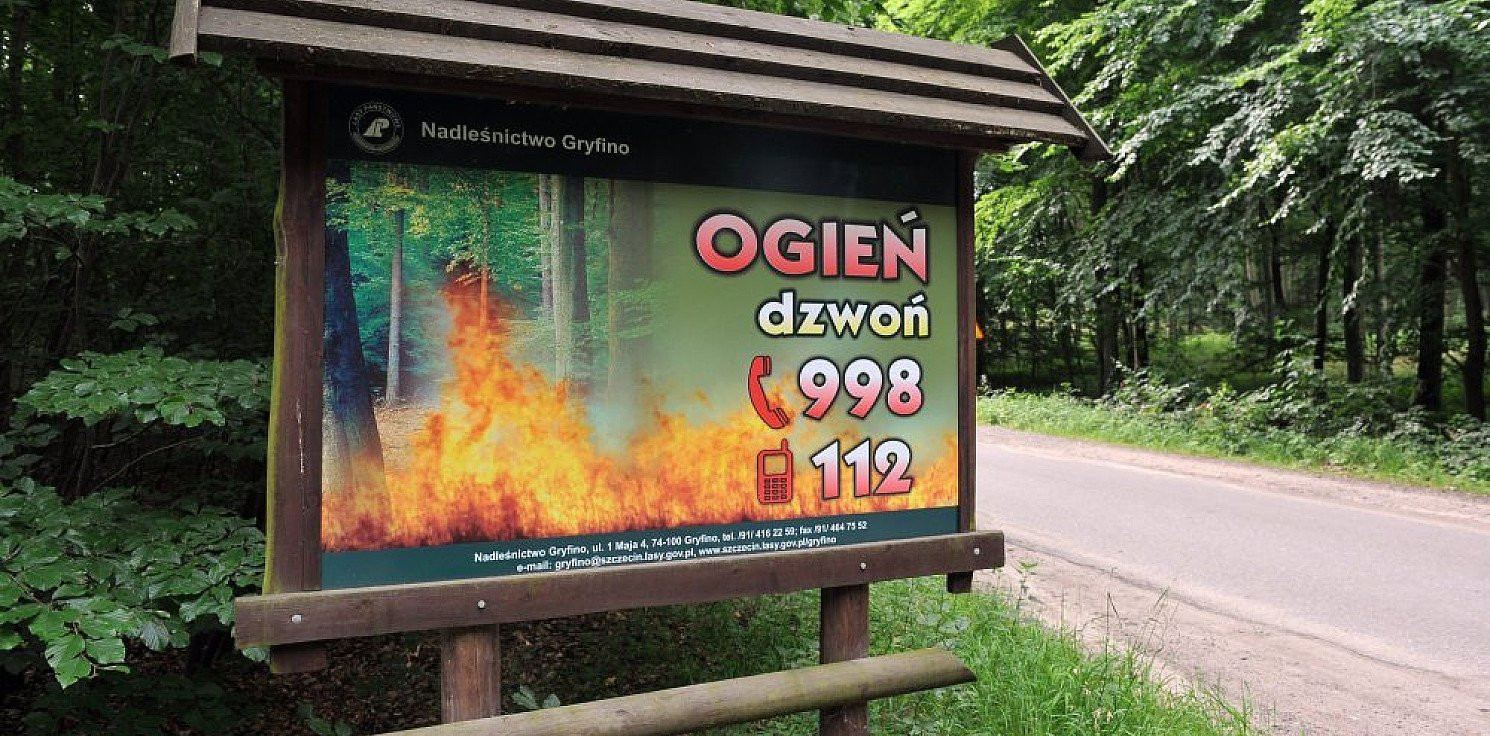 Kraj - IBL: duże zagrożenie pożarowe w lasach w dwunastu województwach