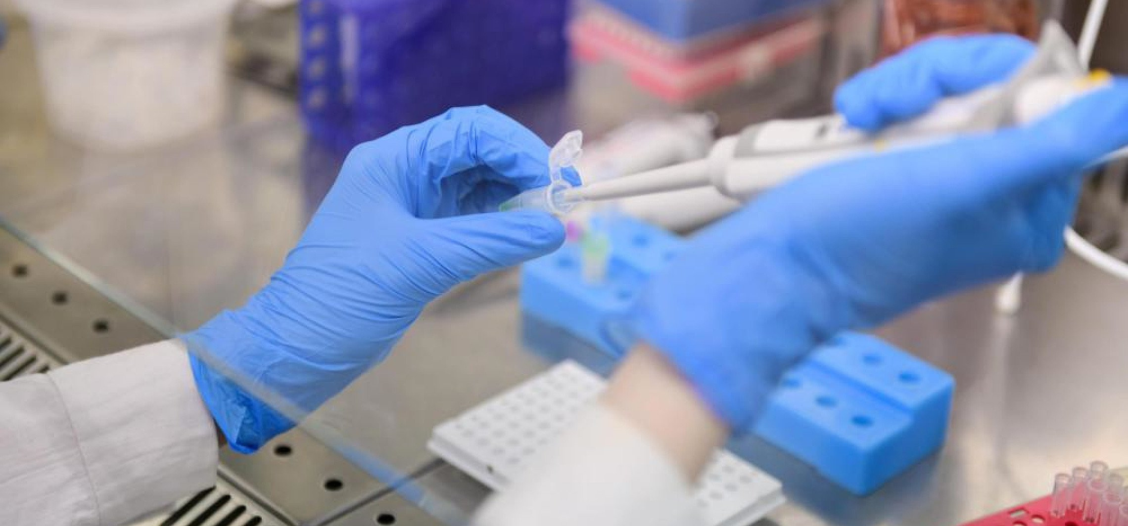 Pierwszy na świecie test podatności na koronawirusa powstaje w Polsce