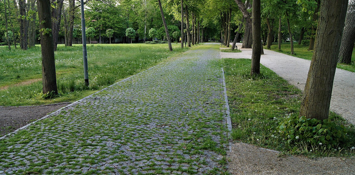 Inowrocław - Brakuje pieniędzy na utrzymanie Solanek?
