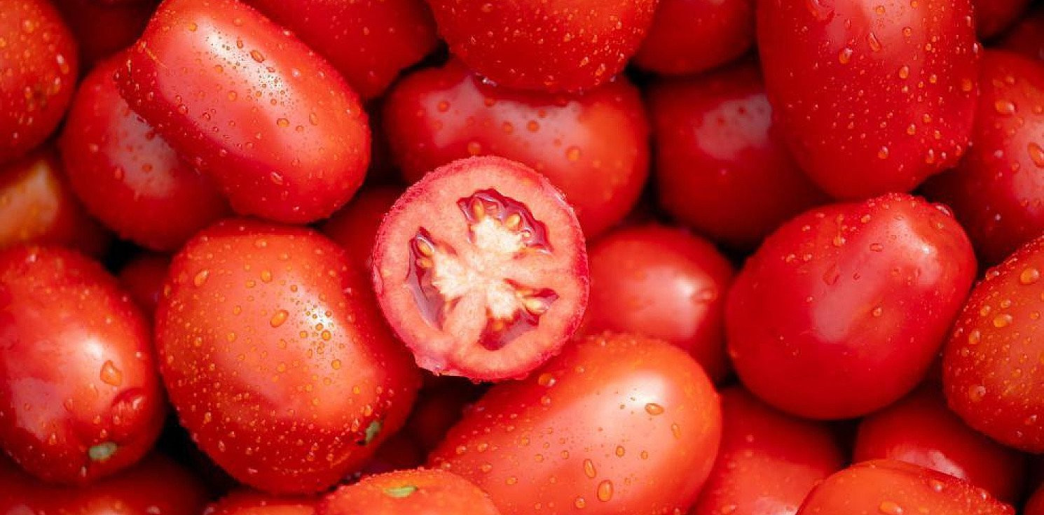 Rozmaitości - Czy pomidory można przechowywać w lodówce?