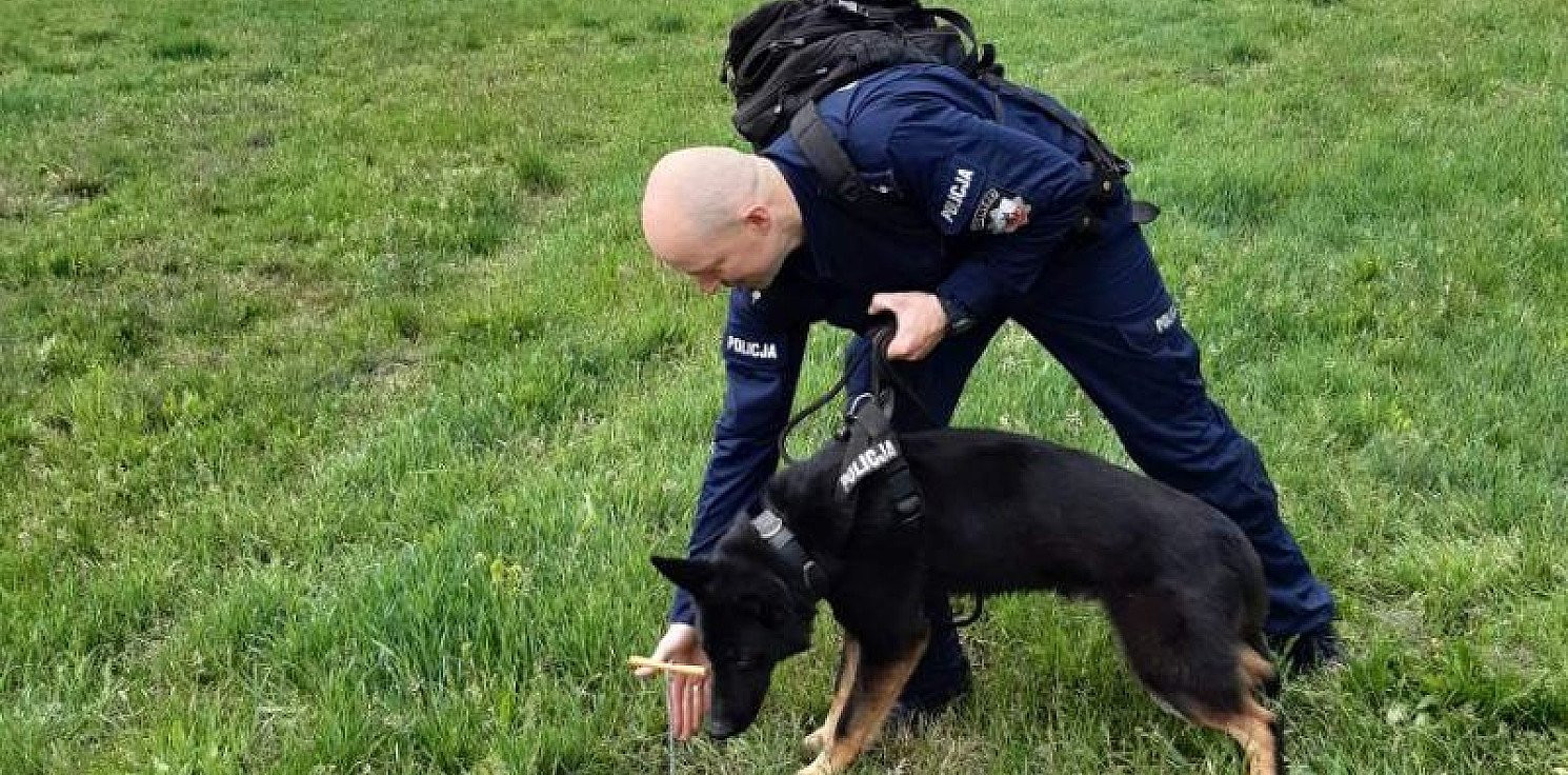 Inowrocław - Praca z policyjnym psem - pasja i odpowiedzialność