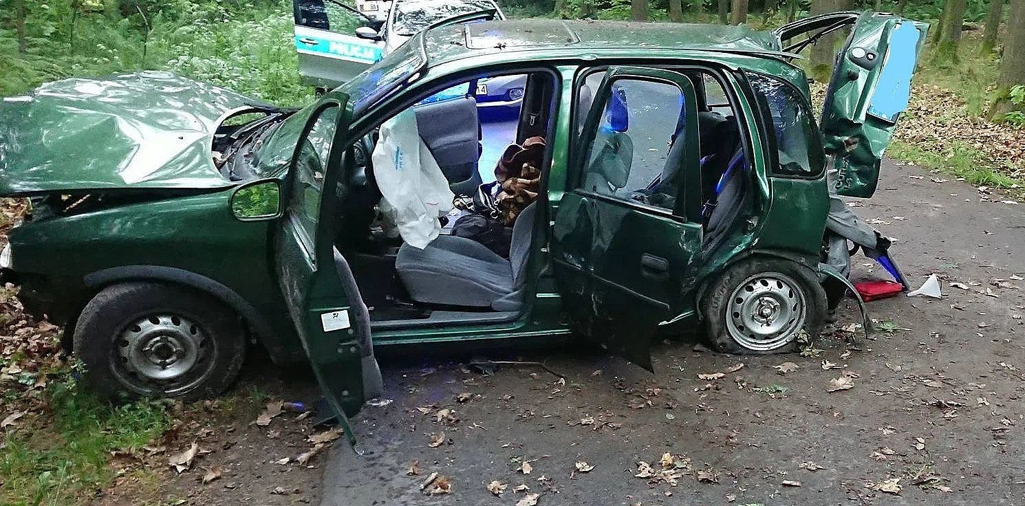 Strzelno - Niedaleko Przyjezierza opel uderzył w drzewo