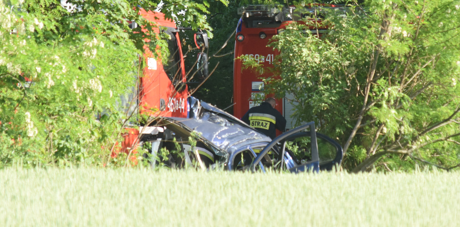 Region - Auto uderzyło w drzewo. Nie żyje jedna osoba