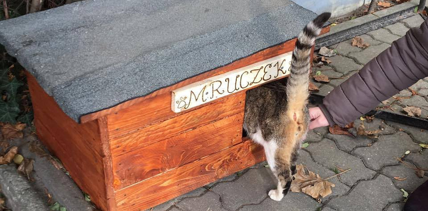 Janikowo - Szkolny kot Mruczek dostał swój domek