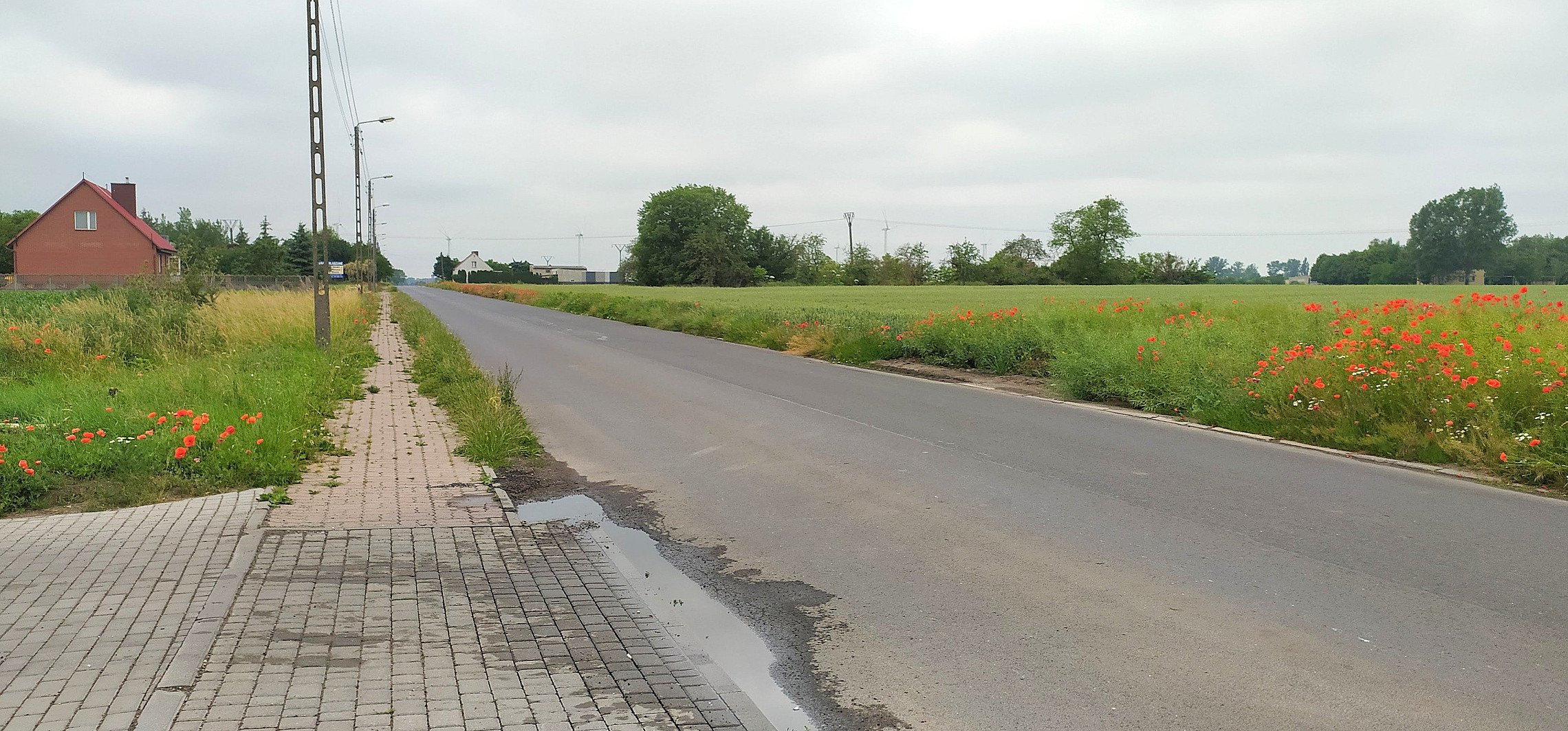 Inowrocław - Ścieżki rowerowe połączą miejscowości powiatu?