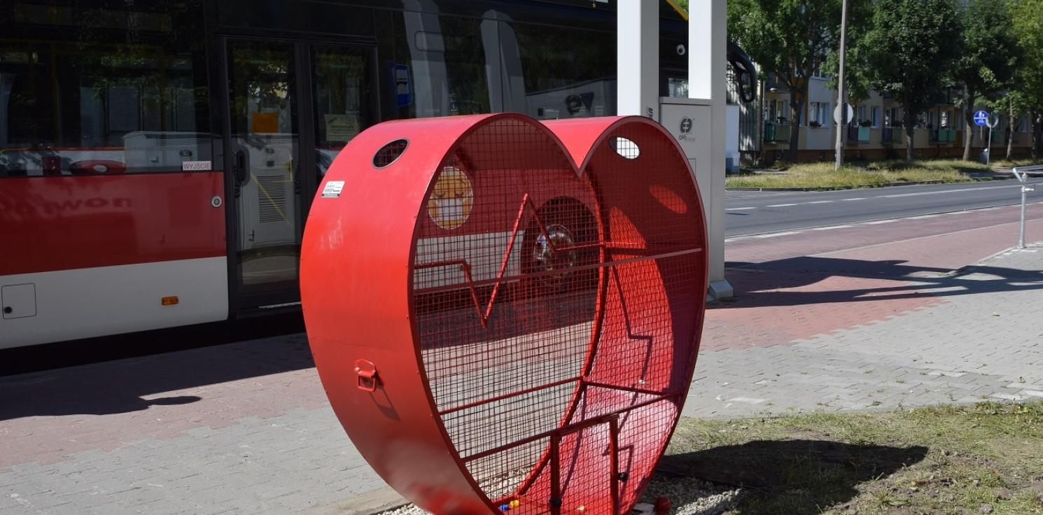 Inowrocław - Nowe serca pomogą środowisku i potrzebującym