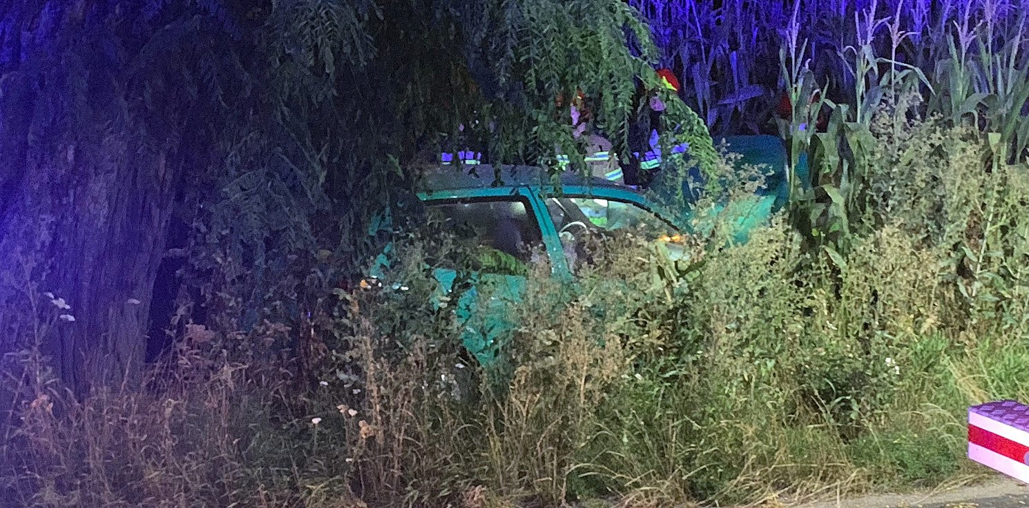 Inowrocław - Polo zakończyło jazdę w polu kukurydzy
