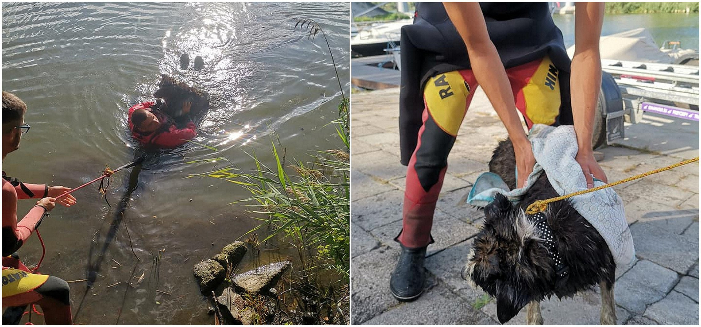 Kruszwica - Ratownicy wodni wyciągnęli z Gopła psa