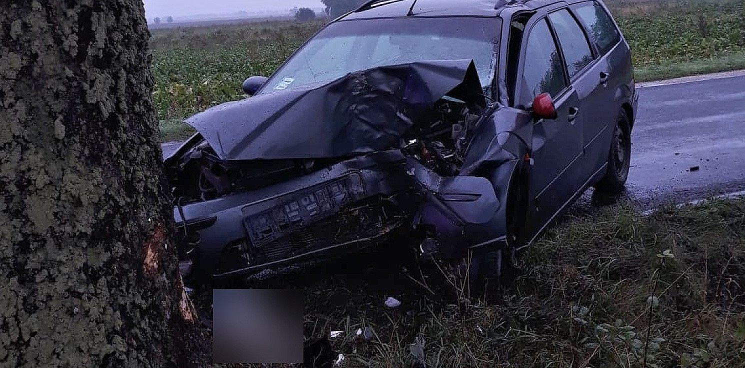 Kruszwica.online - Wypadek o poranku. Ford uderzył w drzewo