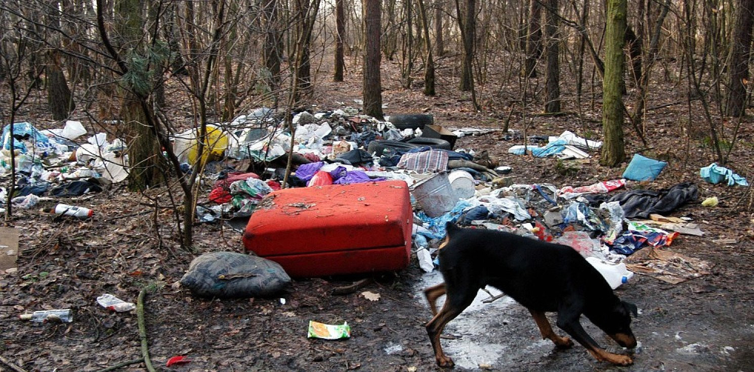 Kraj - Woś: prace nad surowszym karaniem śmiecących w lasach są bardzo zaawansowane