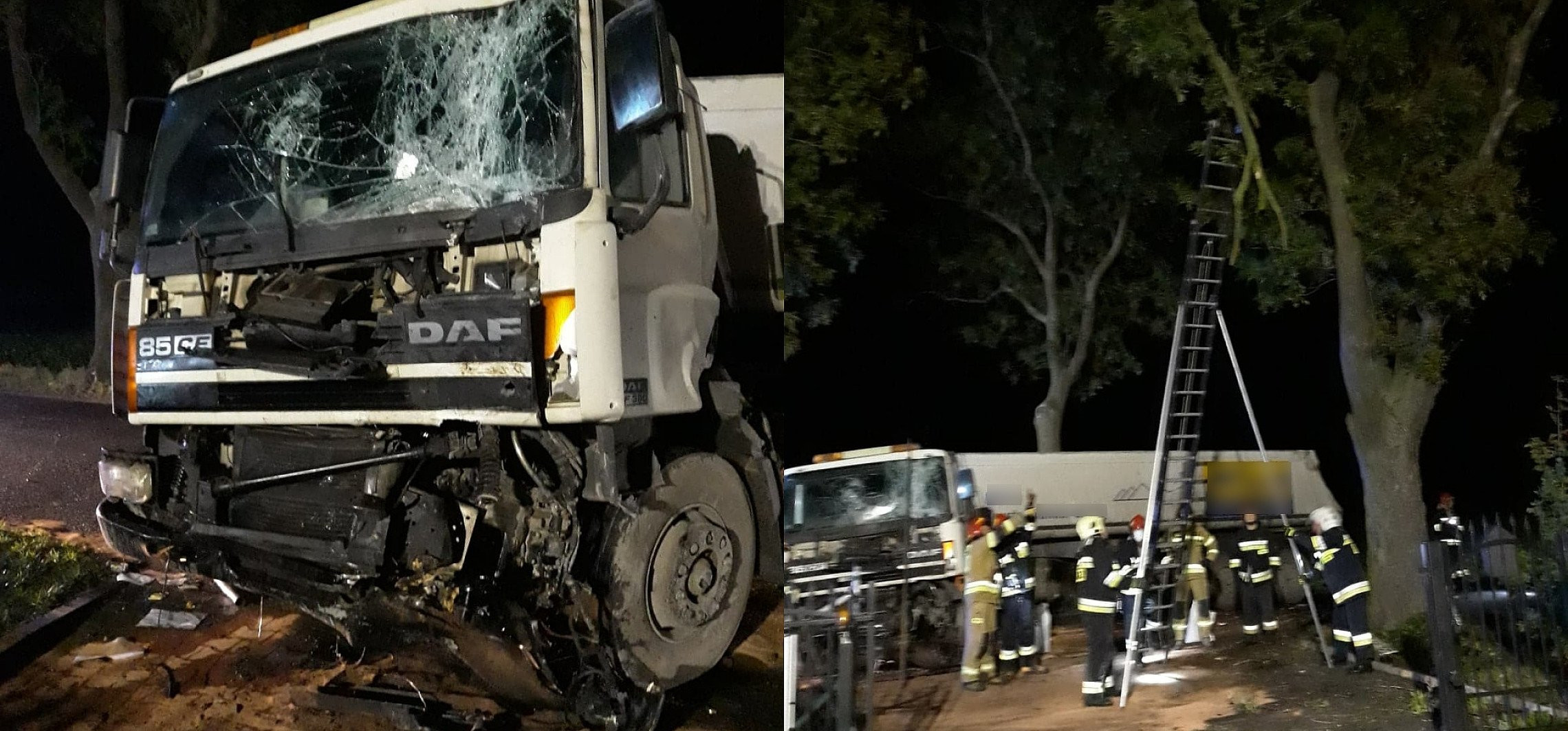 Kruszwica - Ciężarówka uderzyła w drzewo