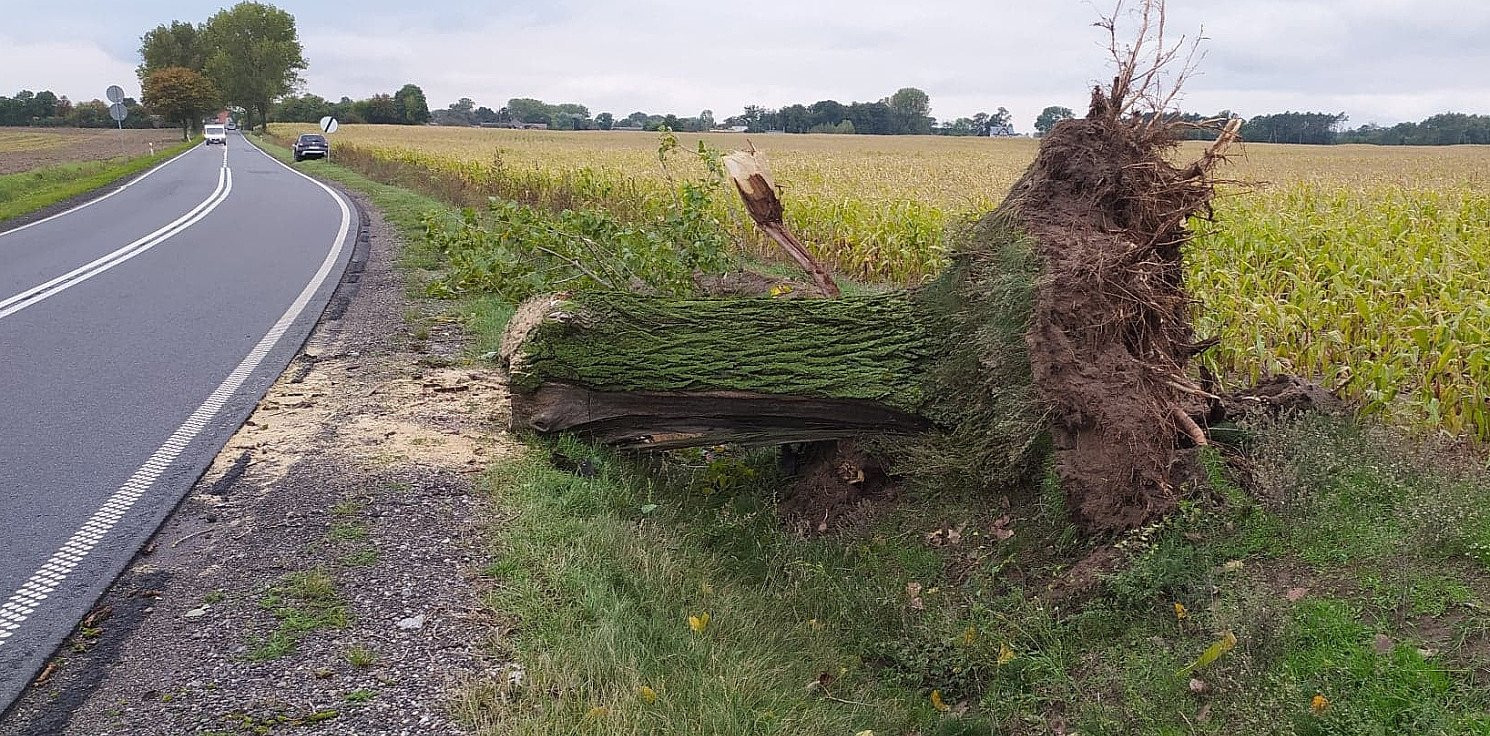 Inowrocław - Silny wiatr i ulewy. Kilkadziesiąt interwencji strażaków