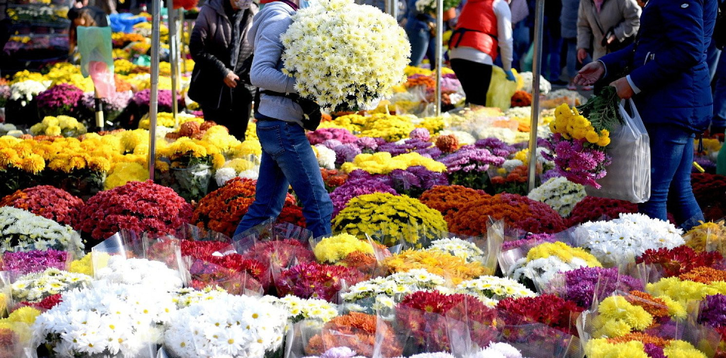 Kraj - Premier: oddziały ARiMR i KOWR odkupią od producentów i sprzedawców kwiaty i rośliny