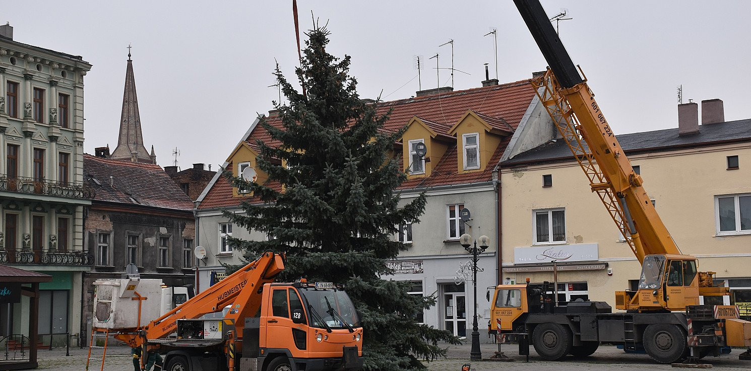 Inowrocław - Świąteczna choinka stanęła na Rynku
