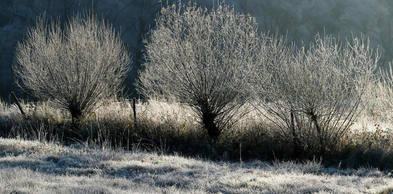 Kraj - IMGW: w nadchodzący weekend do Polski może zawitać zima
