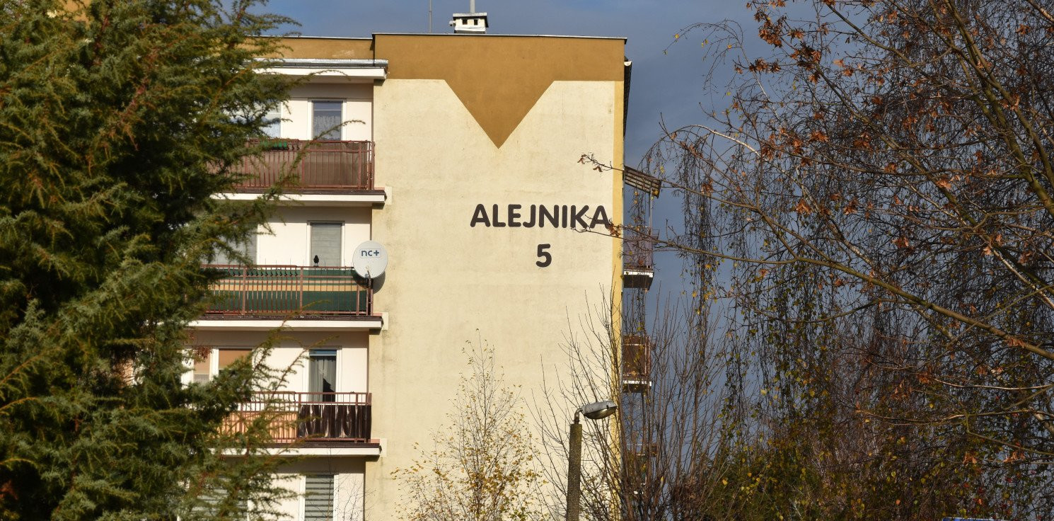Inowrocław - "Zarządzenie ws. Alejnika niezgodne z prawem"
