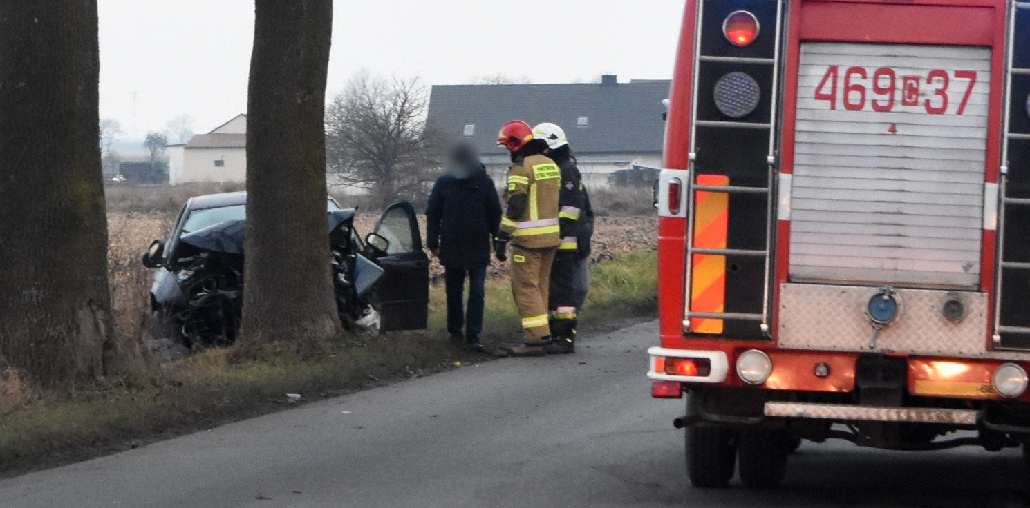 Region - Koło Orłowa auto uderzyło w drzewo