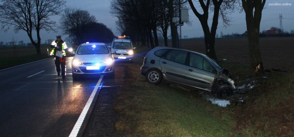Mogilno - Uderzyła renault w drzewo