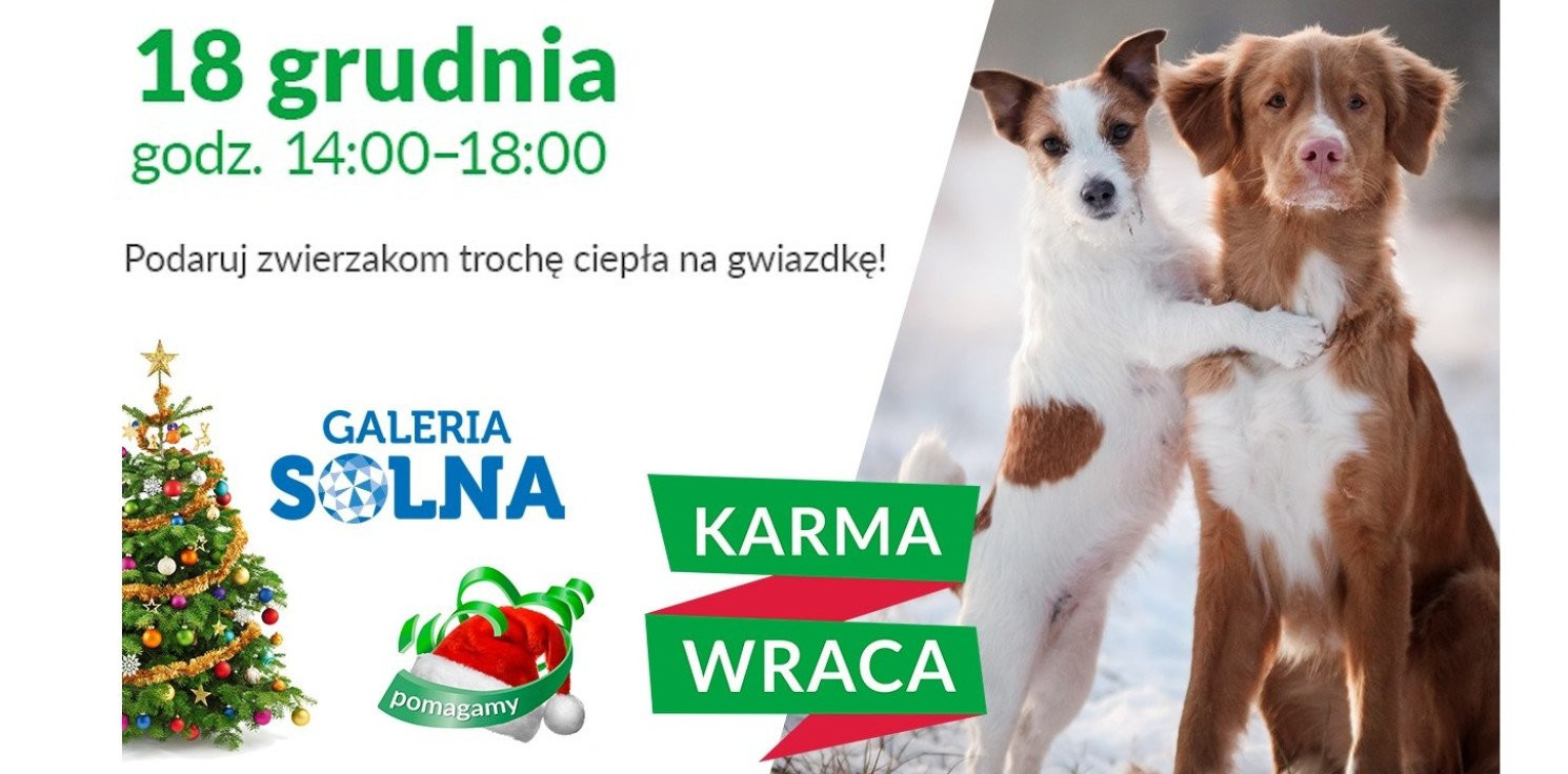 Inowrocław - Karma wraca. Żywe choinki za pomoc zwierzakom